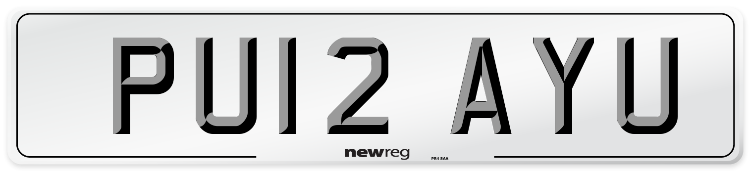 PU12 AYU Number Plate from New Reg